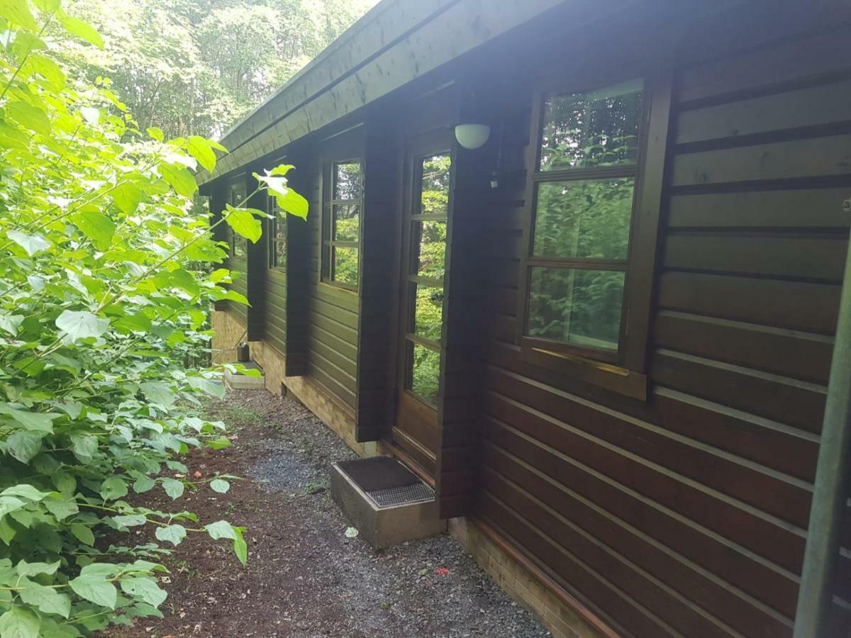 Bungalow; Haus 111 Ferienpark Twistesee, 바트아롤젠 외부 사진